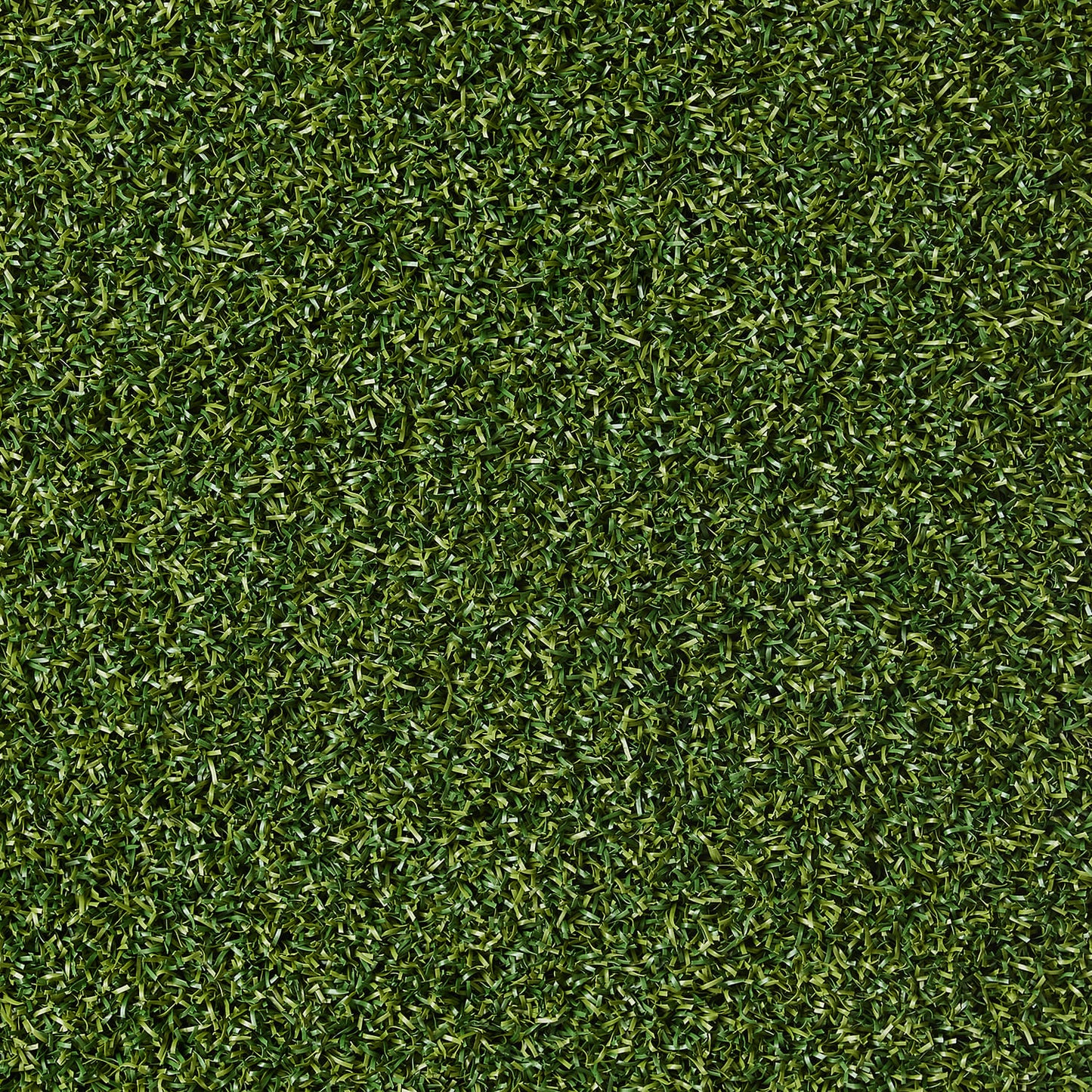 Putting grass Standard