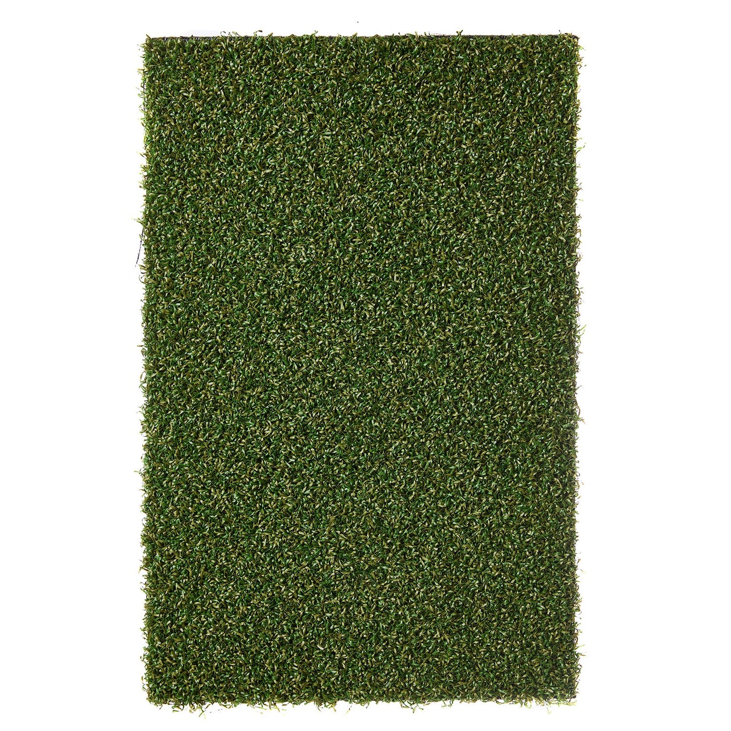 Putting grass Premium