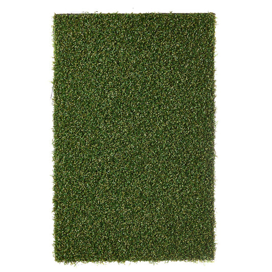 Putting grass Premium