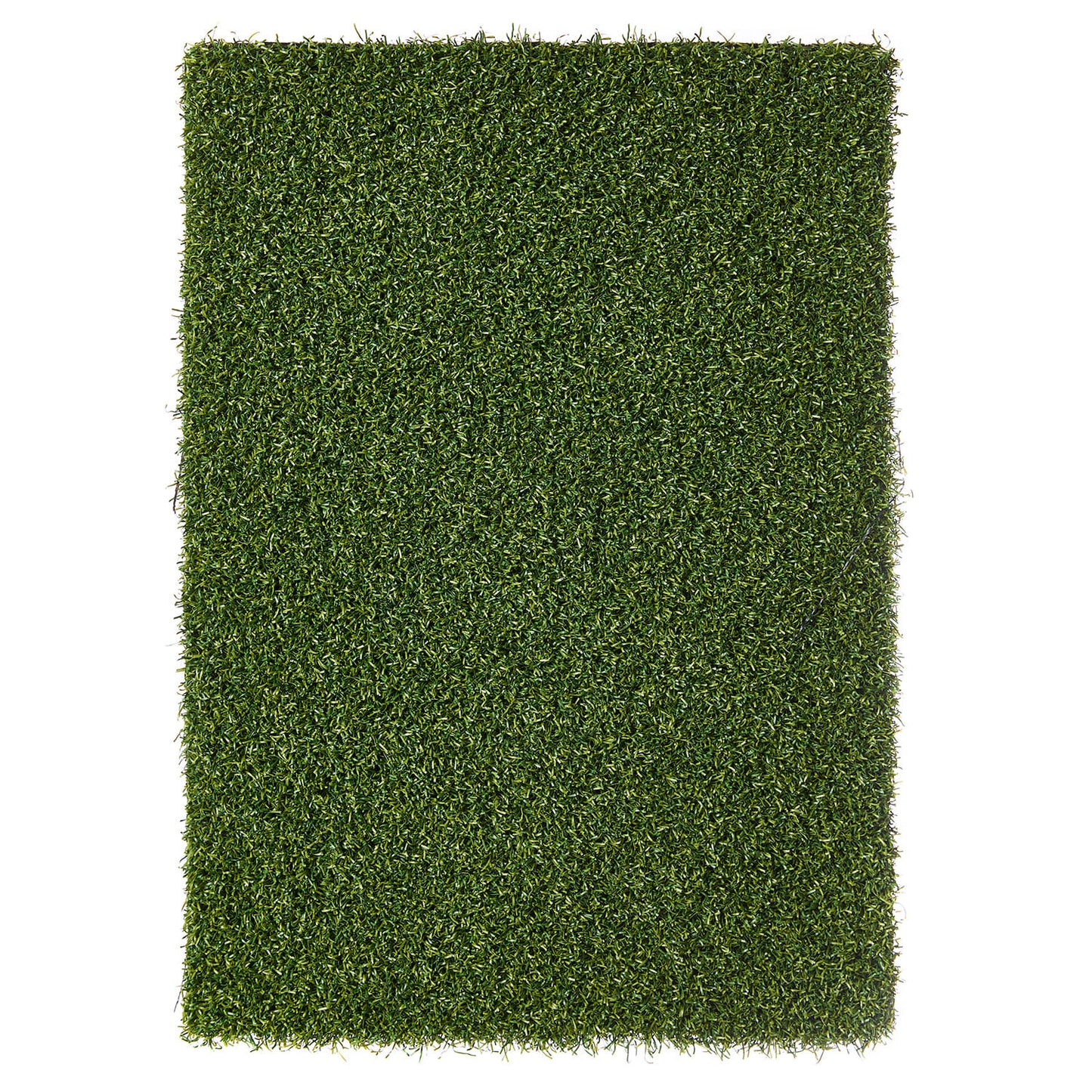 Putting grass Standard