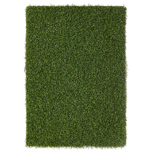 Putting grass Standard